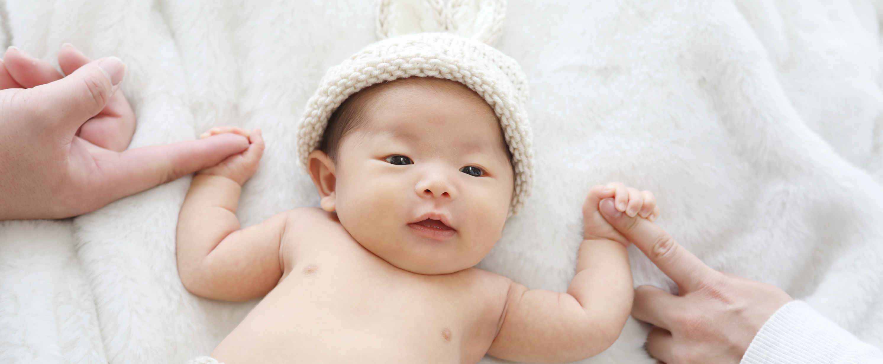 メインビジュアル 2