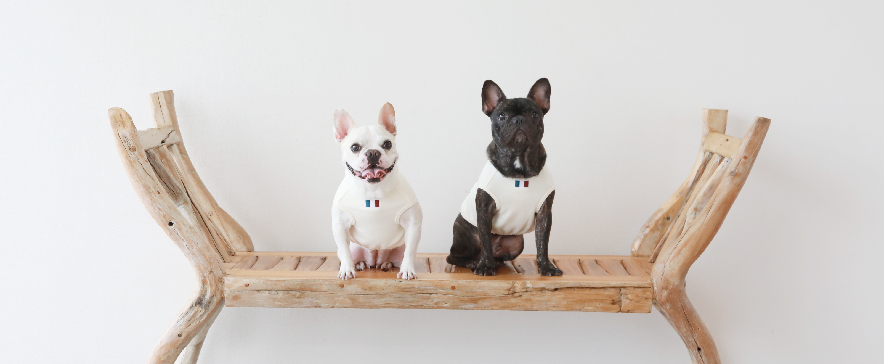 メインビジュアル 5